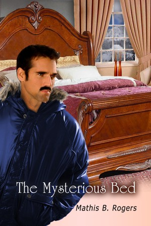 mathisbrogers's tweet photo. @EntradaBooks The Mysterious Bed—1/2 price through 03/07/26. Casey Stevenson takes his 1994 Christmas vacation at Crystal City Ski Lodge and Resort &amp; wakes up in the year 2101. How will he get back to 1994?
https://t.co/ji7clAqbc2
#scifi #writerslift #iamwriting #reading https://t.co/tiOV6xa28j