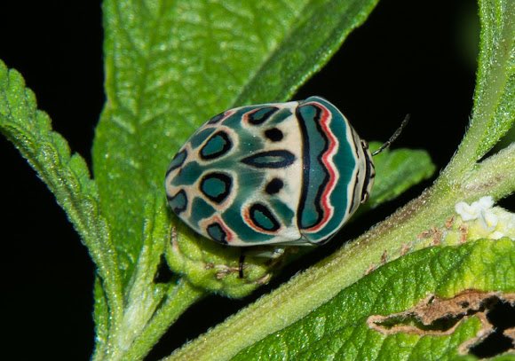 Kindness and knowledge tweet media