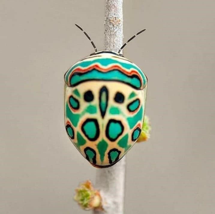 Kindness and knowledge tweet media