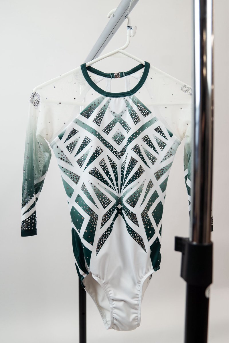 Michigan State Gymnastics tweet media