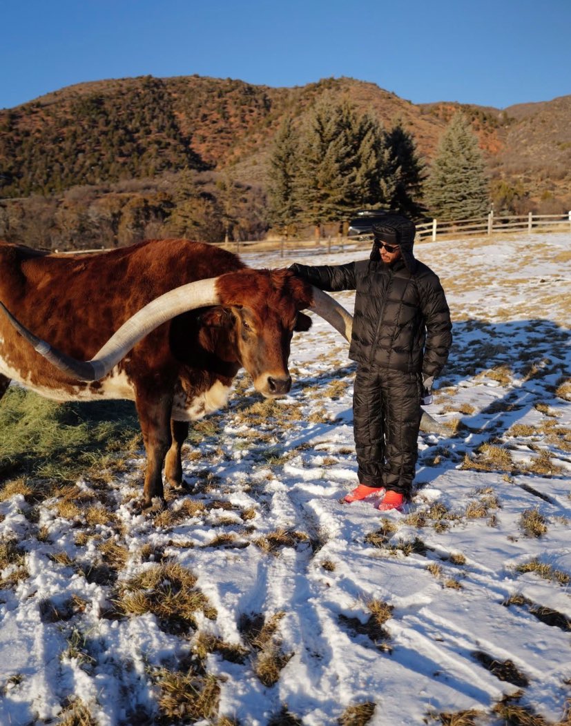 Right so Lewis’ cow Max isn’t actually just a cow, he’s quite literally a RED BULL🫠