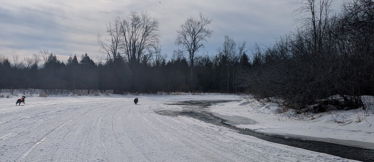 Dubyedee tweet media