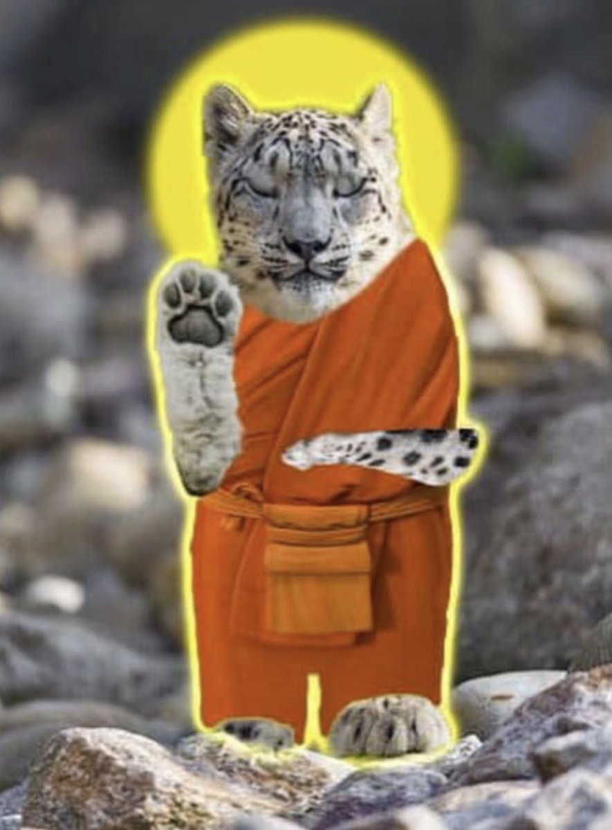 Been logging onto Wilds just to do follow my favs around and take pictures of them chillin