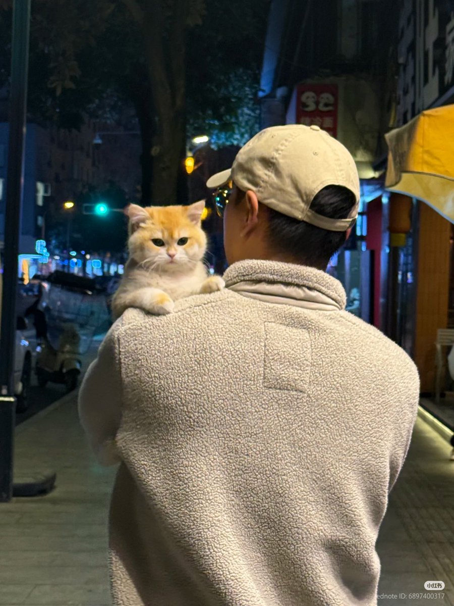 nocontextscats's tweet photo. He is mine! https://t.co/YW2E5wnwUb