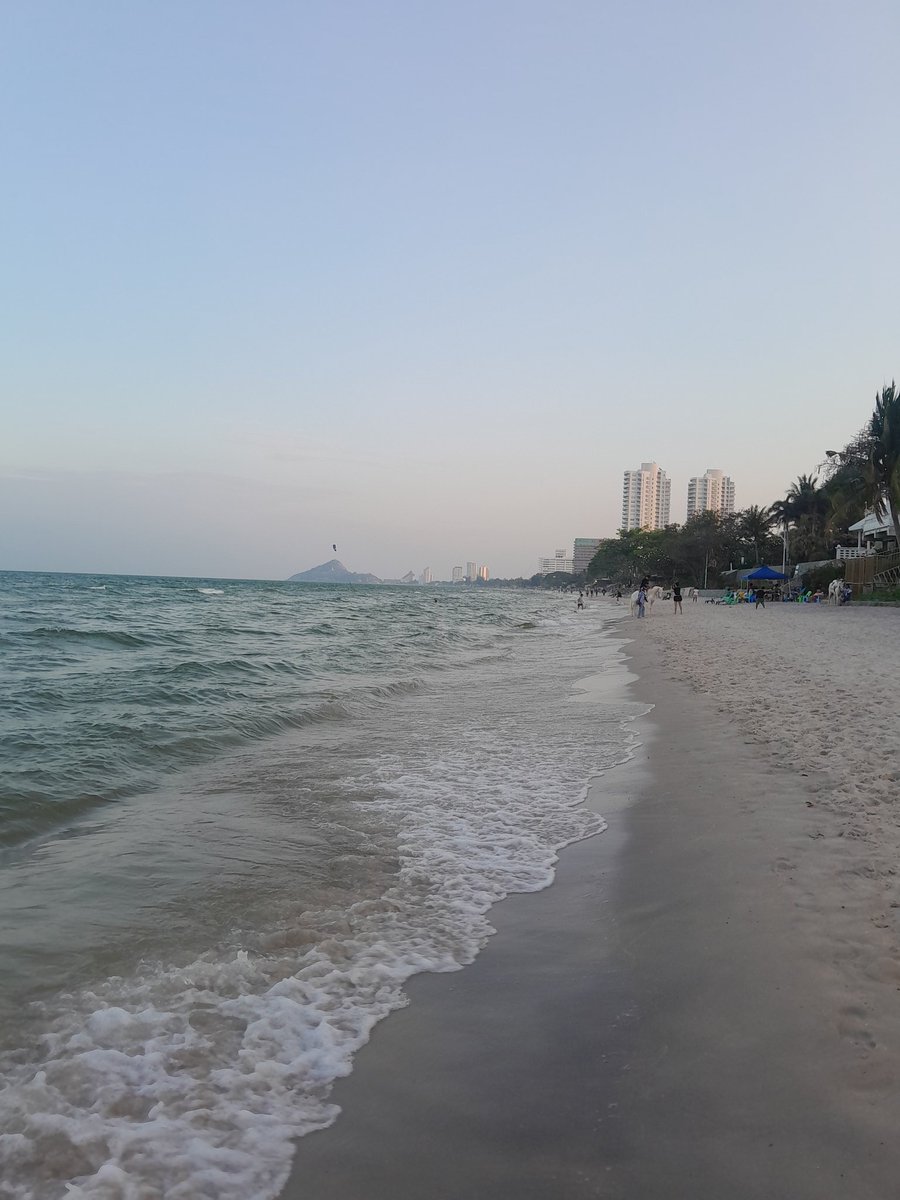 chubby girl tweet media