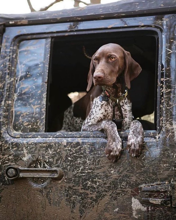 American Conservation Coalition tweet media