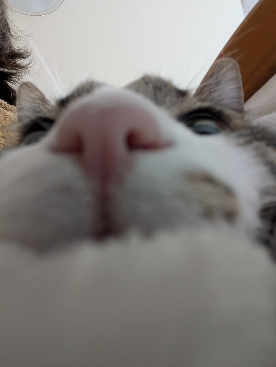 おはようございます🌞 #土アップ 仕事行ってきます🚗 #猫好きさんと