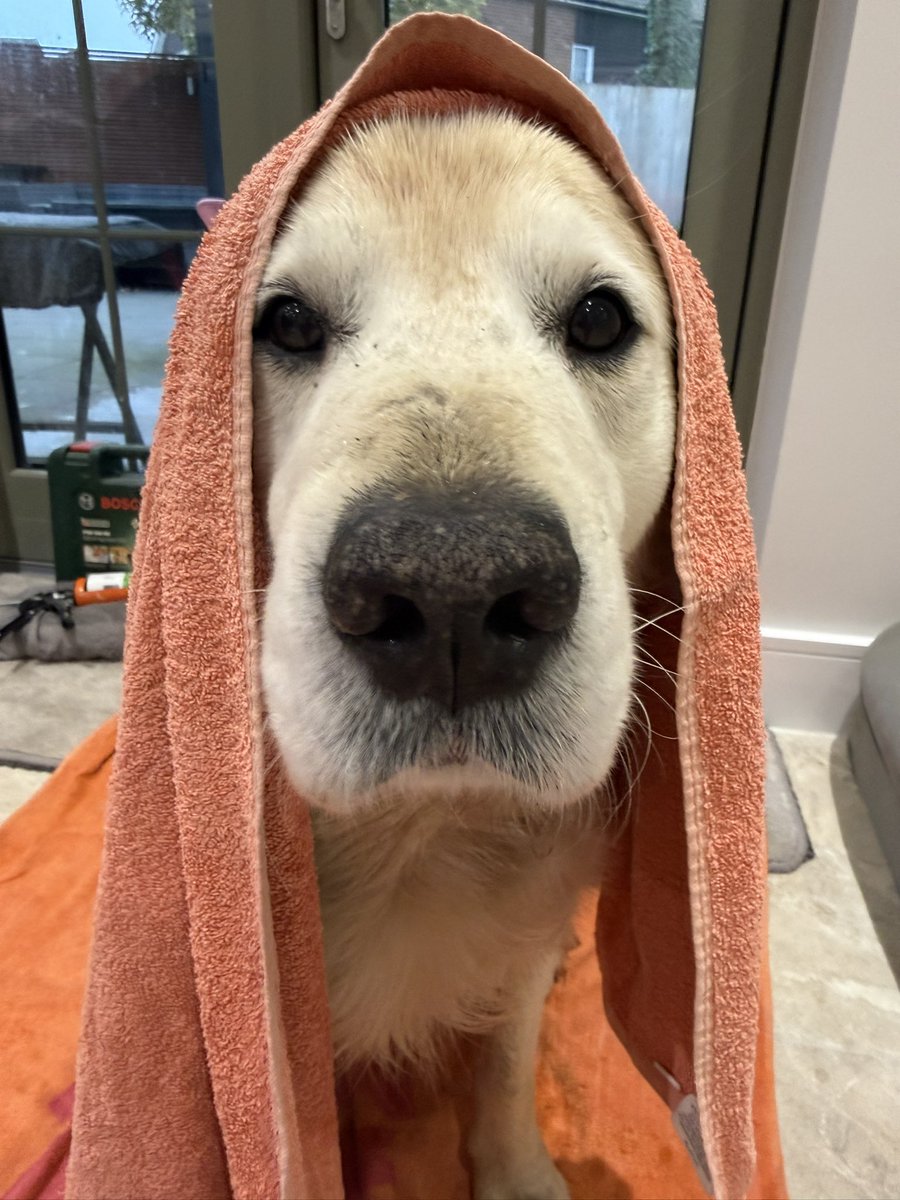 Hells Bells tweet media