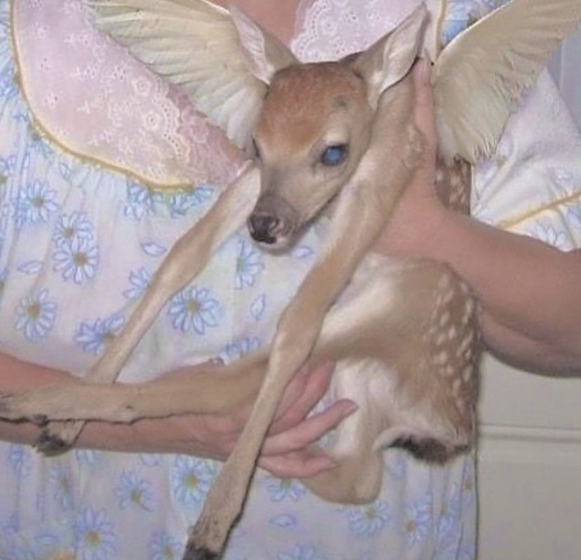 daa𝖑𝖒o tweet media