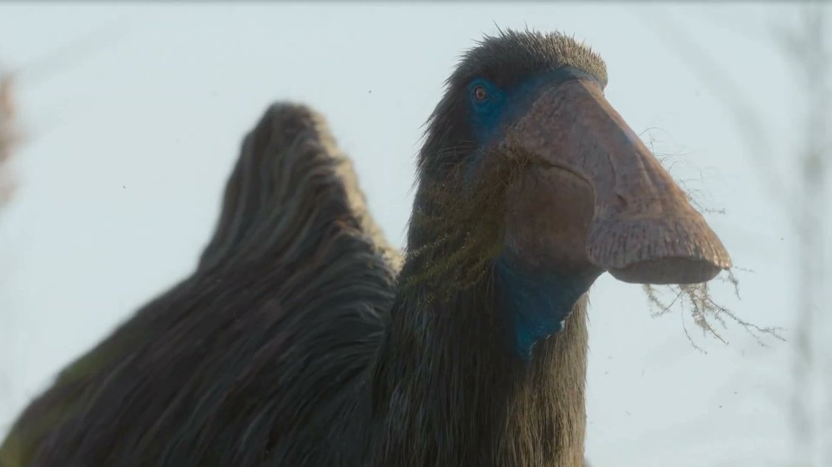 Rudo🧤🗑️(Ferrus) tweet media