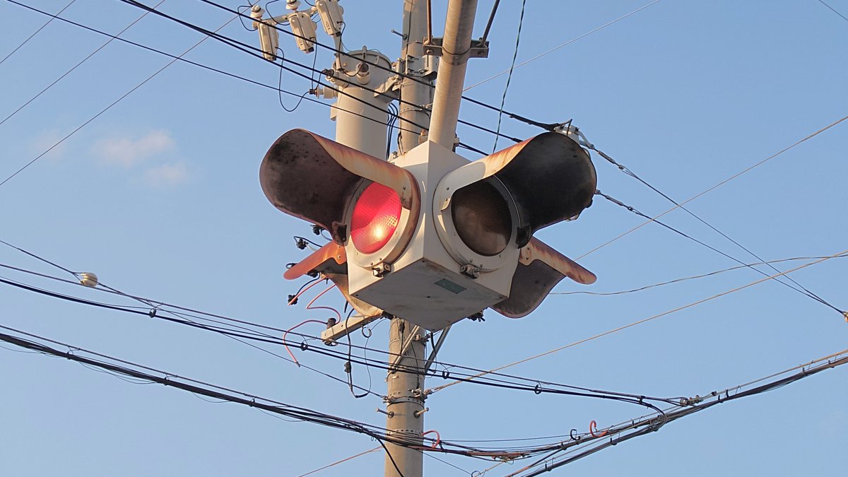 サイダー tweet media