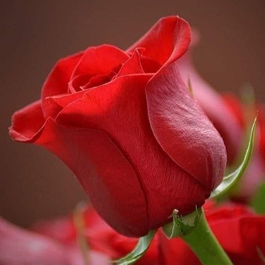 h71h36h's tweet photo. #صورة_ملف_شخصي_جديدة https://t.co/8ykBcJ2ok9