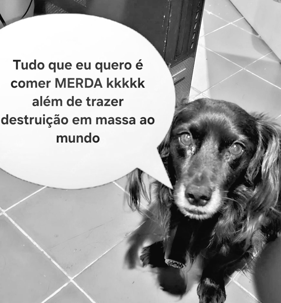 Harveymitadas's tweet photo. #riprex #teamo #vácomoxalá #voucometerumgenocídio #voumemataremseguida #saudadeseternas #meuidoso https://t.co/zZfWLlQEgV
