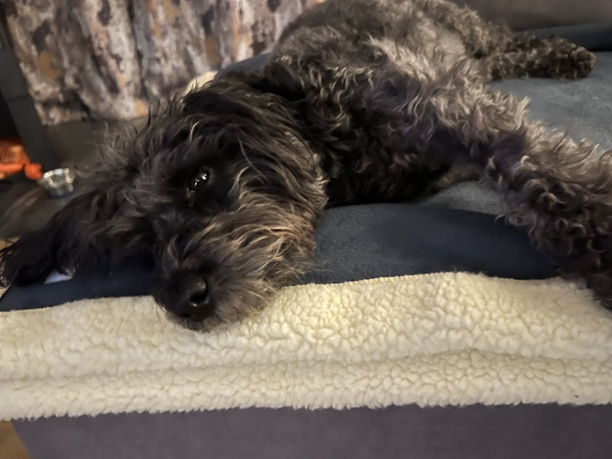 Jane Findlay tweet media