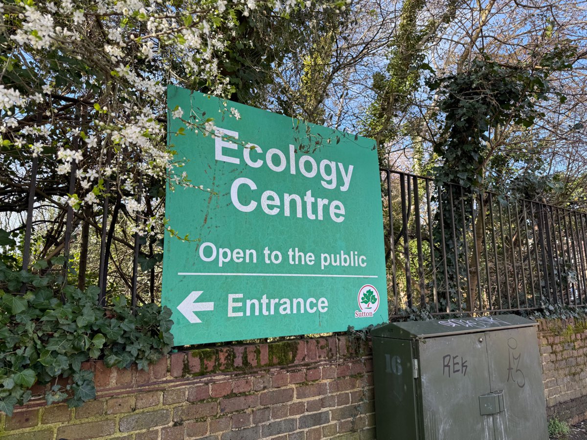 Oasis found in #Sutton <a href="/SuttonCouncil/">Sutton Council</a> 
<a href="/LBSuttonparks/">Sutton Parks</a> 
#ecology