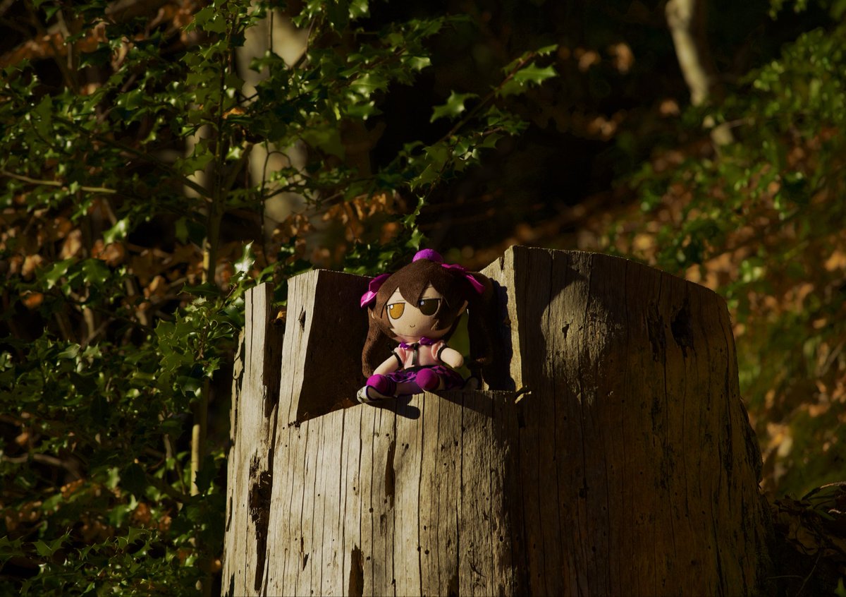 Aya of the Alps tweet media