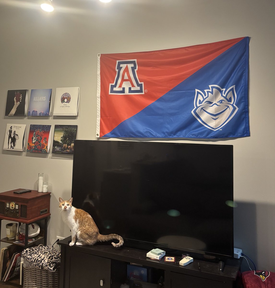 BigTucsonDad's tweet image. Excited to announce that me and my wife might have one of the most unique #HouseDivided flags in the country

Got it just in time for March madness too