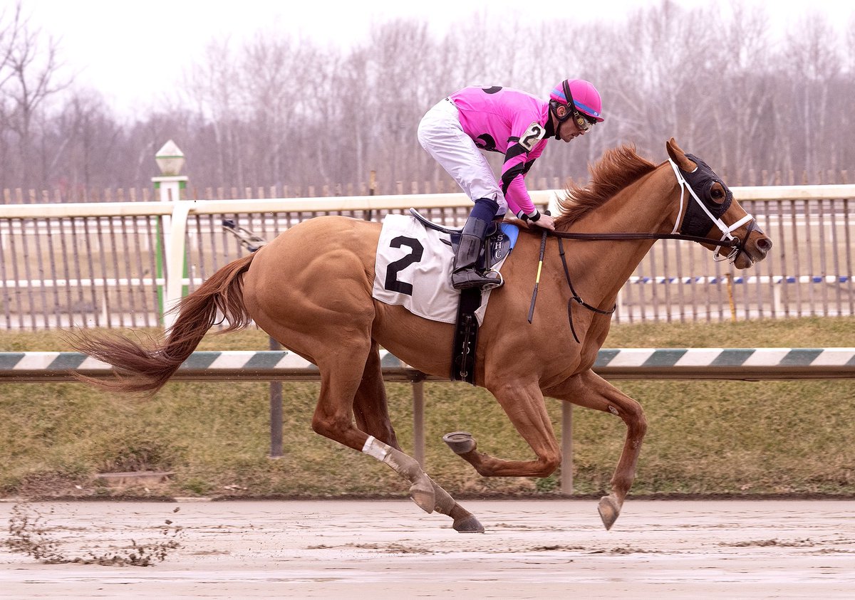 The Maryland Jockey Club, Inc. tweet media