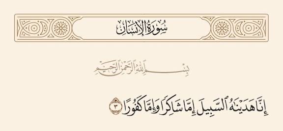 أ tweet media