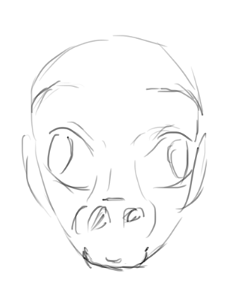 Fottotex tweet media