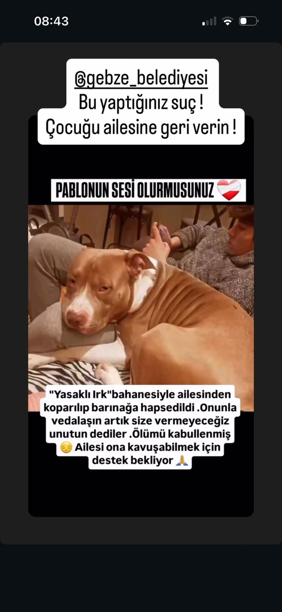 PABLOYU AİLESİNE GERİ VERİN YETER YA‼️‼️‼️‼️ SAHİPLİ HAYVANI EVDEN ALMAK NEDİR NASIL EVLERİMİZE GELİRSİNİZ HAYVANLARIMIZI ALIRSINIZ,BU HANEYE TECAVÜZDÜR BU HAYVANLAR KATİL Mİ, TERÖR ÖRGÜTÜ MÜ..‼️‼️‼️‼️‼️‼️‼️‼️