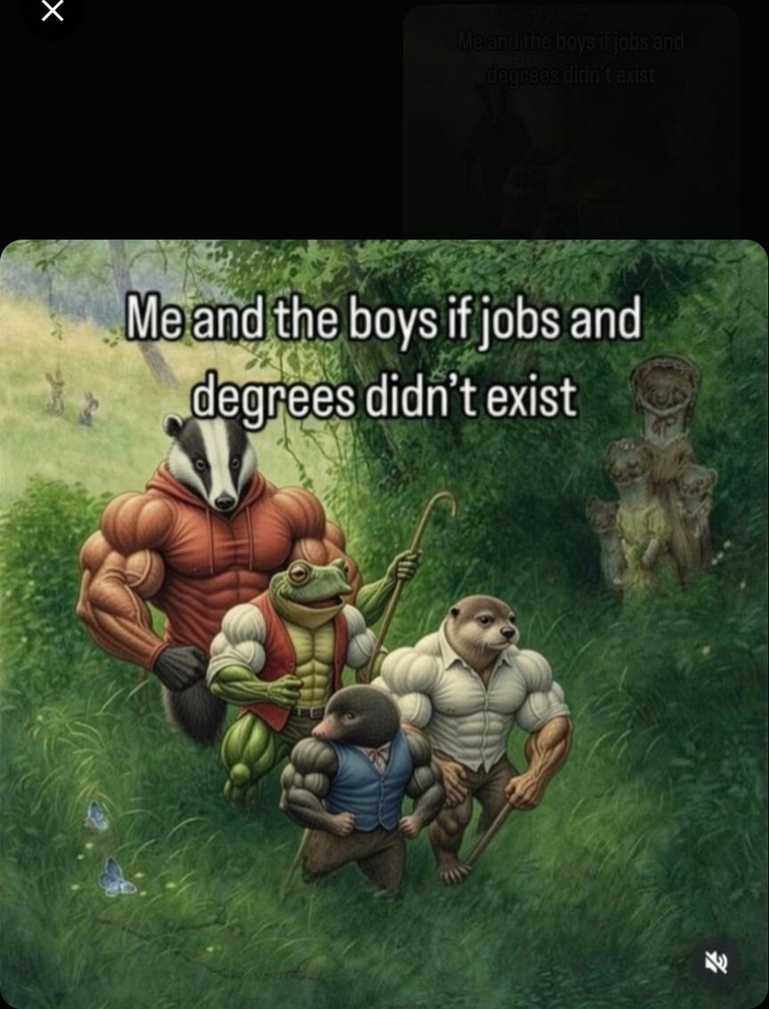 J Ðog ₍ᐢ•ﻌ•ᐢ₎ tweet media