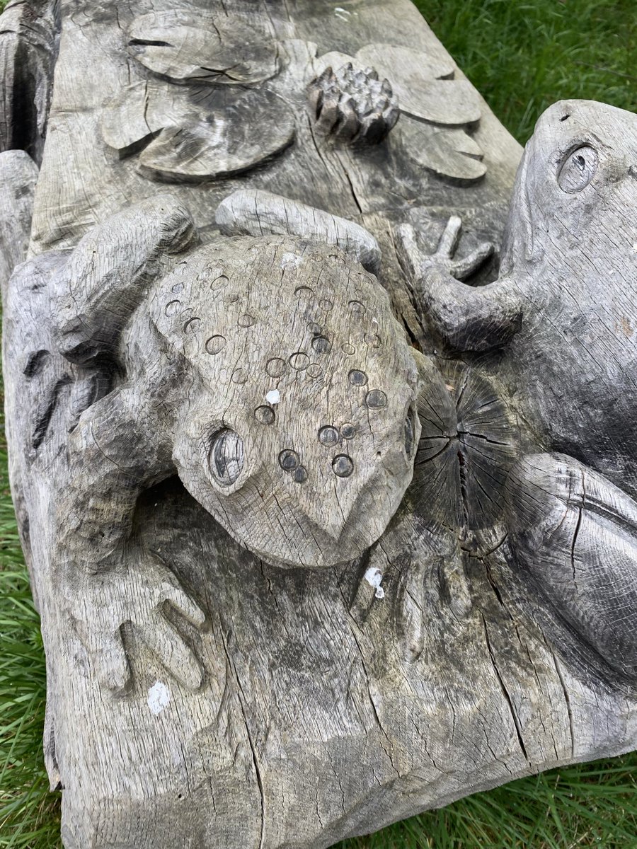 UrbanTreeFestival tweet media