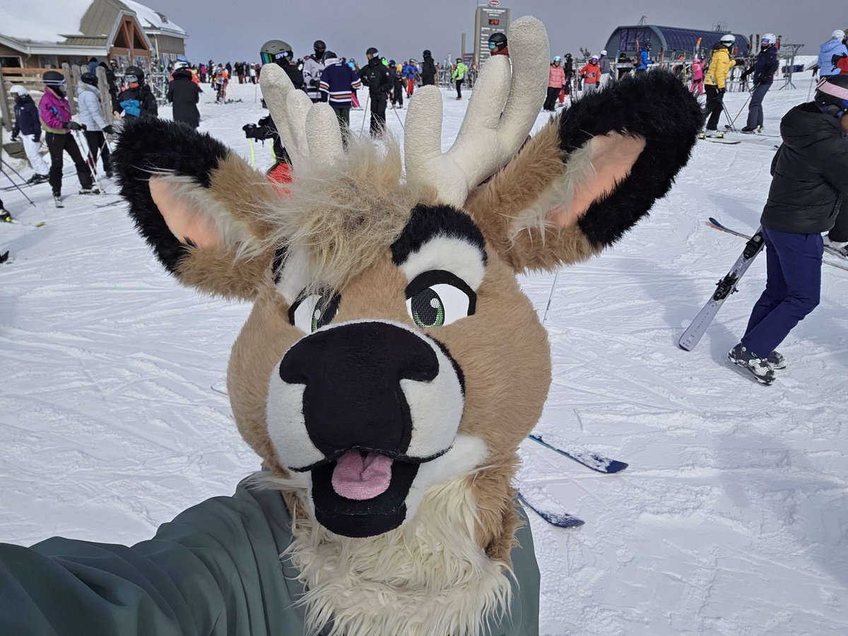 Kinter 🌿 tweet media