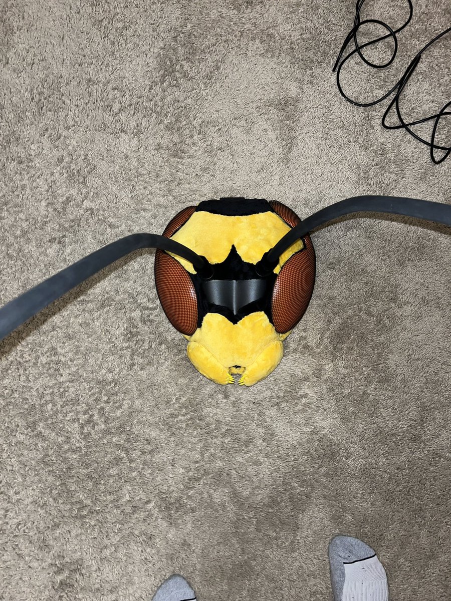 MutantWasp tweet media