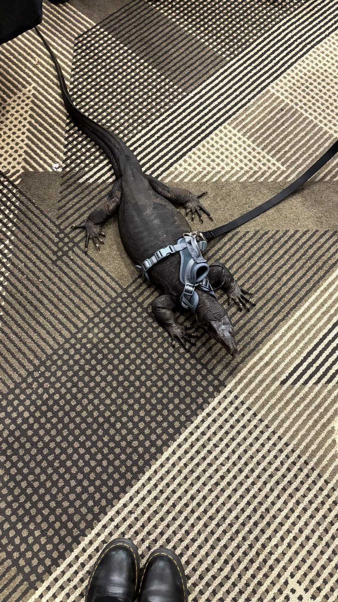 v ｅｅ 🍄 tweet media