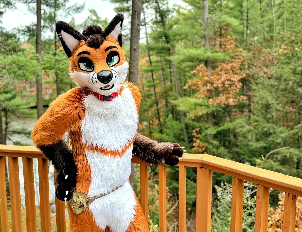 Sondyr. 🦊 tweet media