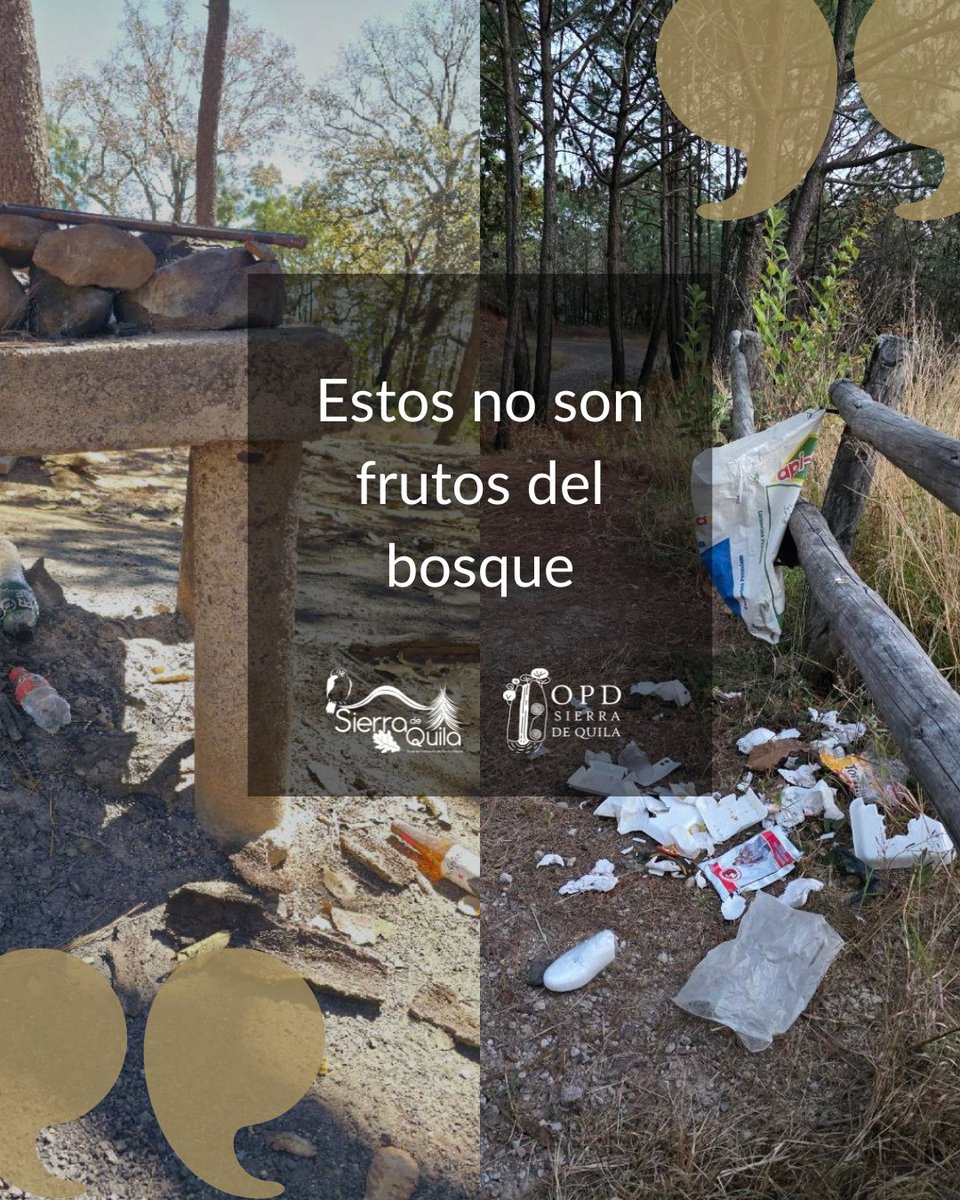 🚫 Esto no pertenece aquí 😞
Cuando visites #SierraDeQuila no abandones basura 🚯

#SierraDeQuila #VisitantesResponsables #ÁreasNaturalesProtegidas #TurismoResponsable #TodosSomosSierradeQuila