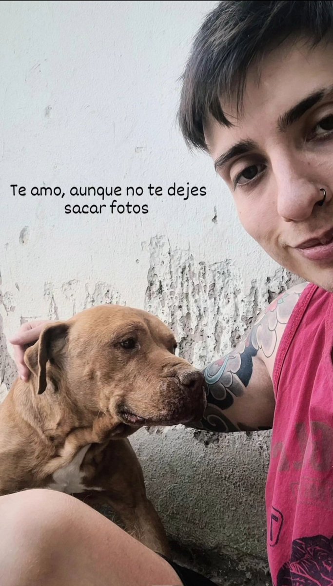 NicolasAiligo's tweet photo. Siempre en mi corazón al perro más hermoso de todo el mundo, sos el mejor perro y siempre lo vas a ser, te amo muchísimo ❤️ https://t.co/7UjoFpuKle