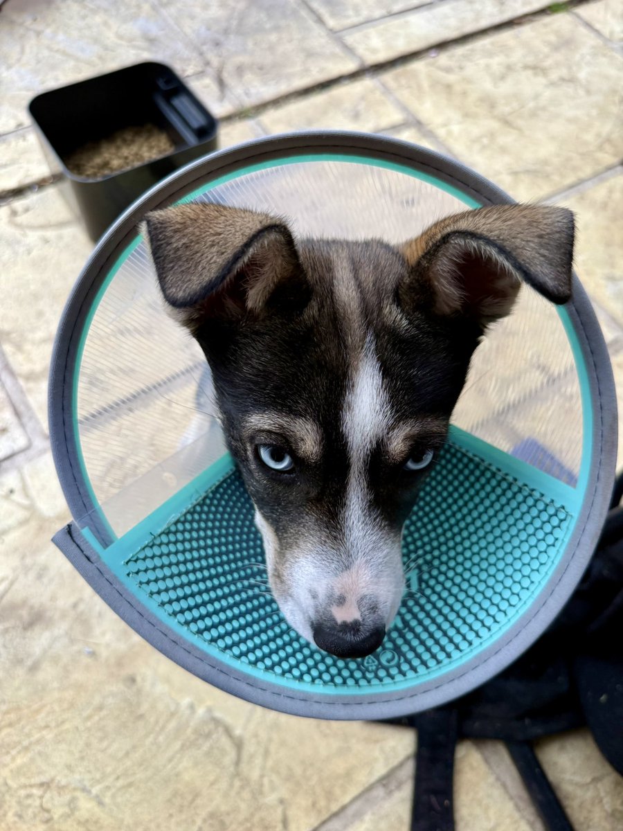 卖火柴的阿甘 tweet media