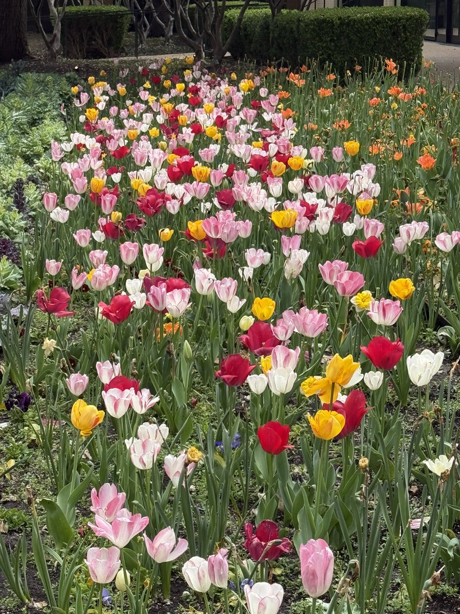 Katherine Leal Unmuth tweet media