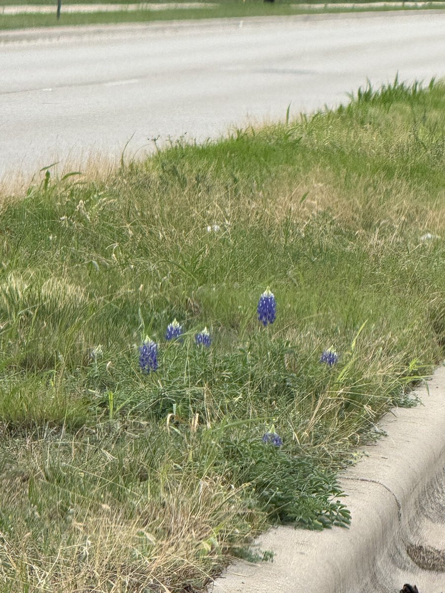 Taylor Kellogg tweet media