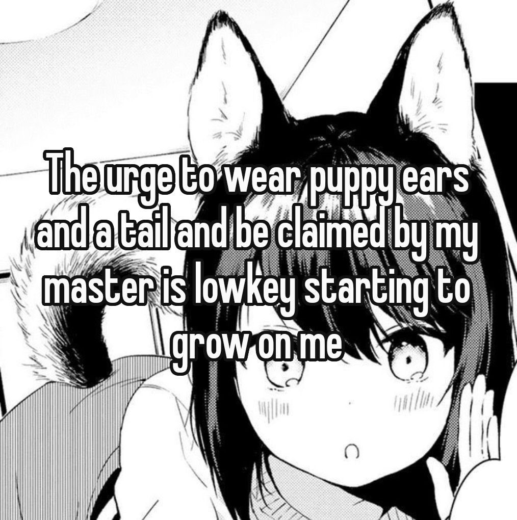 leaferx1again's tweet photo. https://t.co/niwHsbHVTC