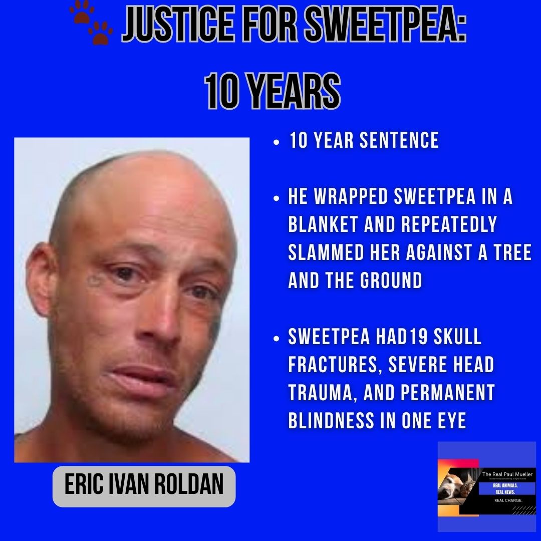 Paul Mueller tweet media