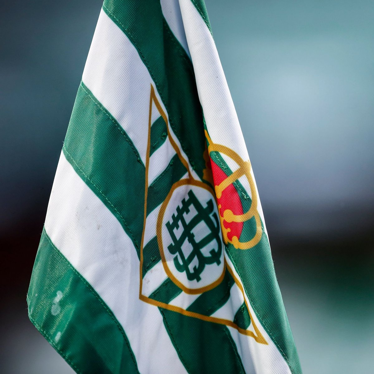 Zona Mixta tweet media