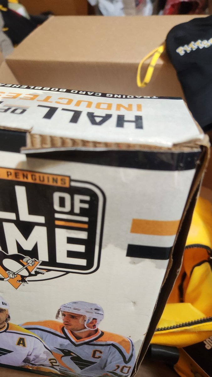 Right2PlayGod's tweet photo. Anyone else have @FedEx ship their @MarioLemieuxFdn charity bag through the river? Box is mysteriously dry but the bag is dirty and soaking went. All the boxes items are went and falling apart and my photo is ruined :(. https://t.co/WBHCYIjpQU