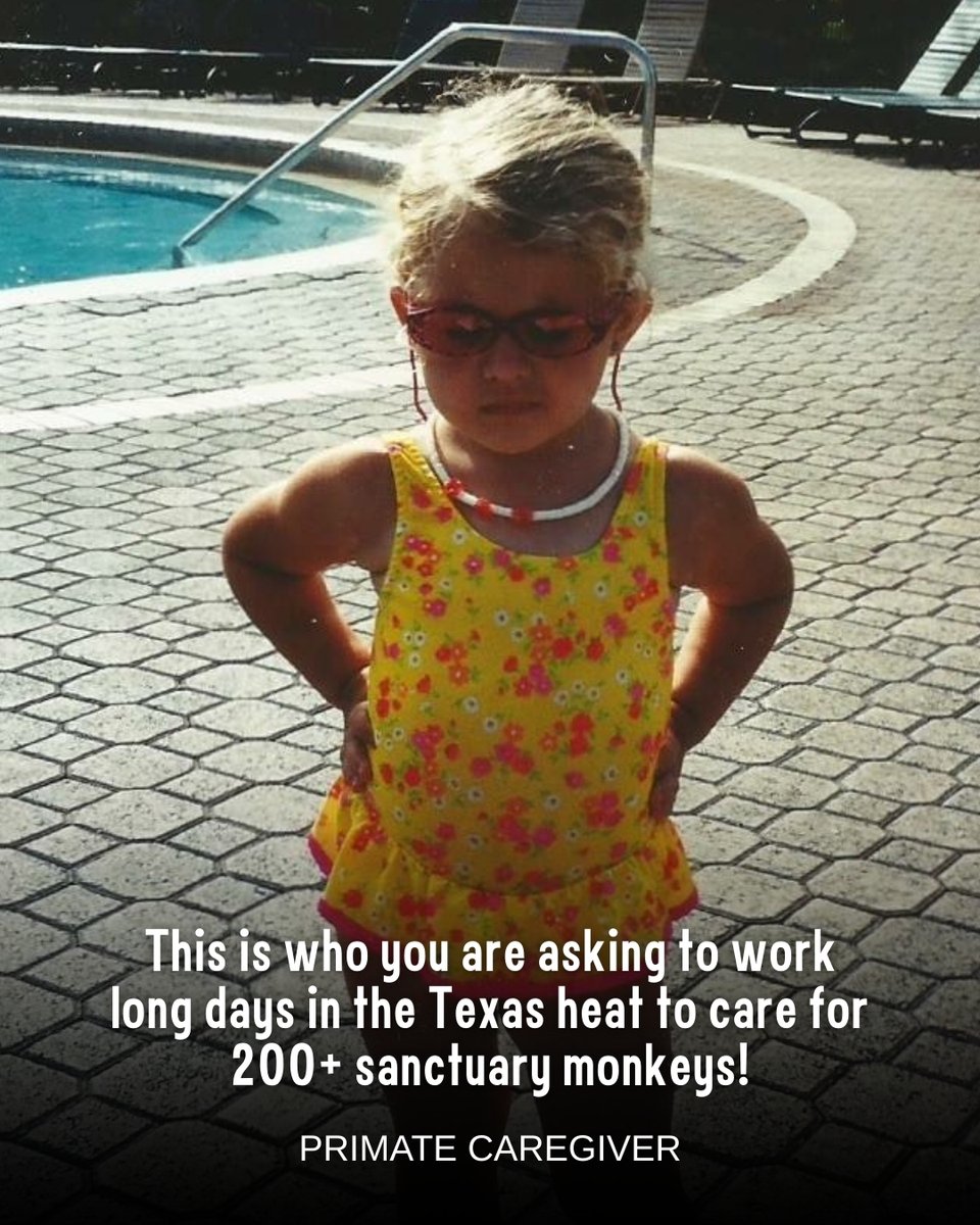 Born Free USA tweet media