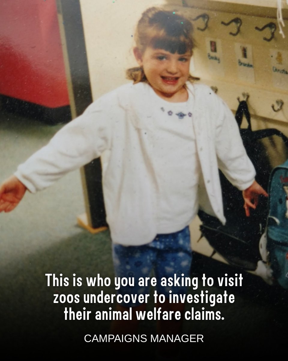 Born Free USA tweet media