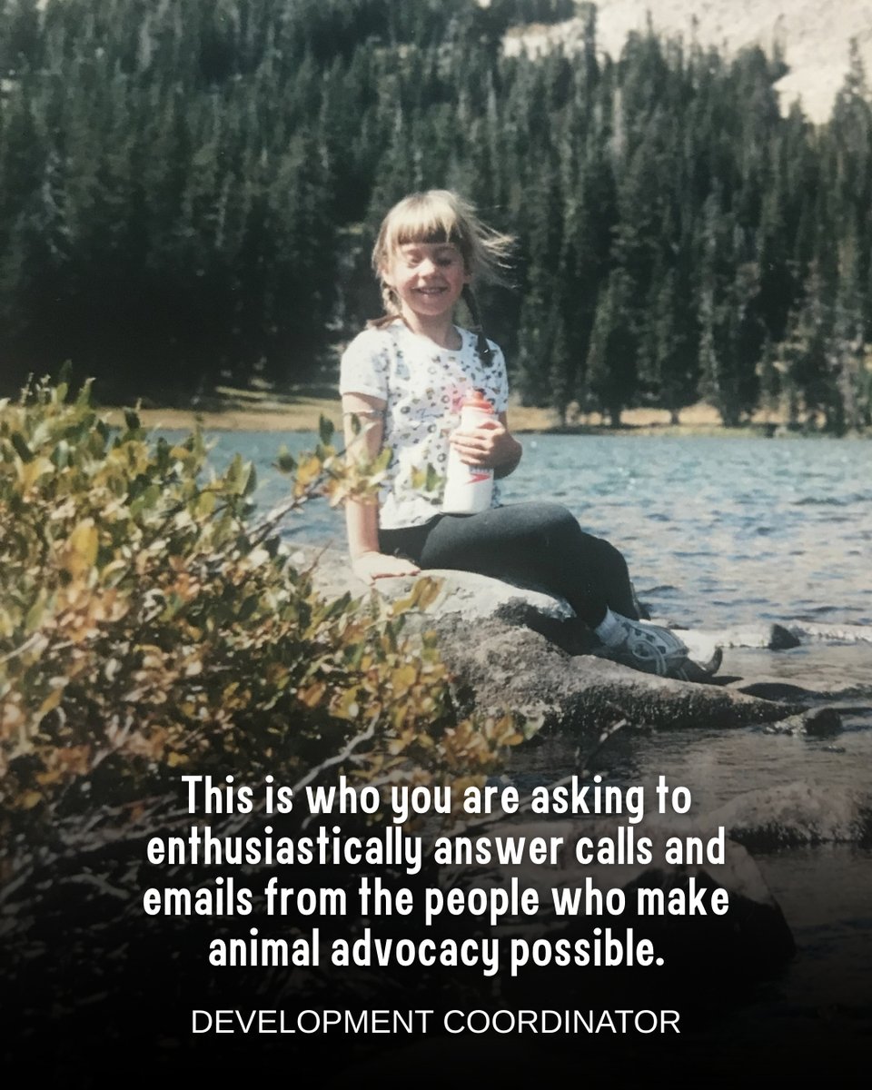 Born Free USA tweet media