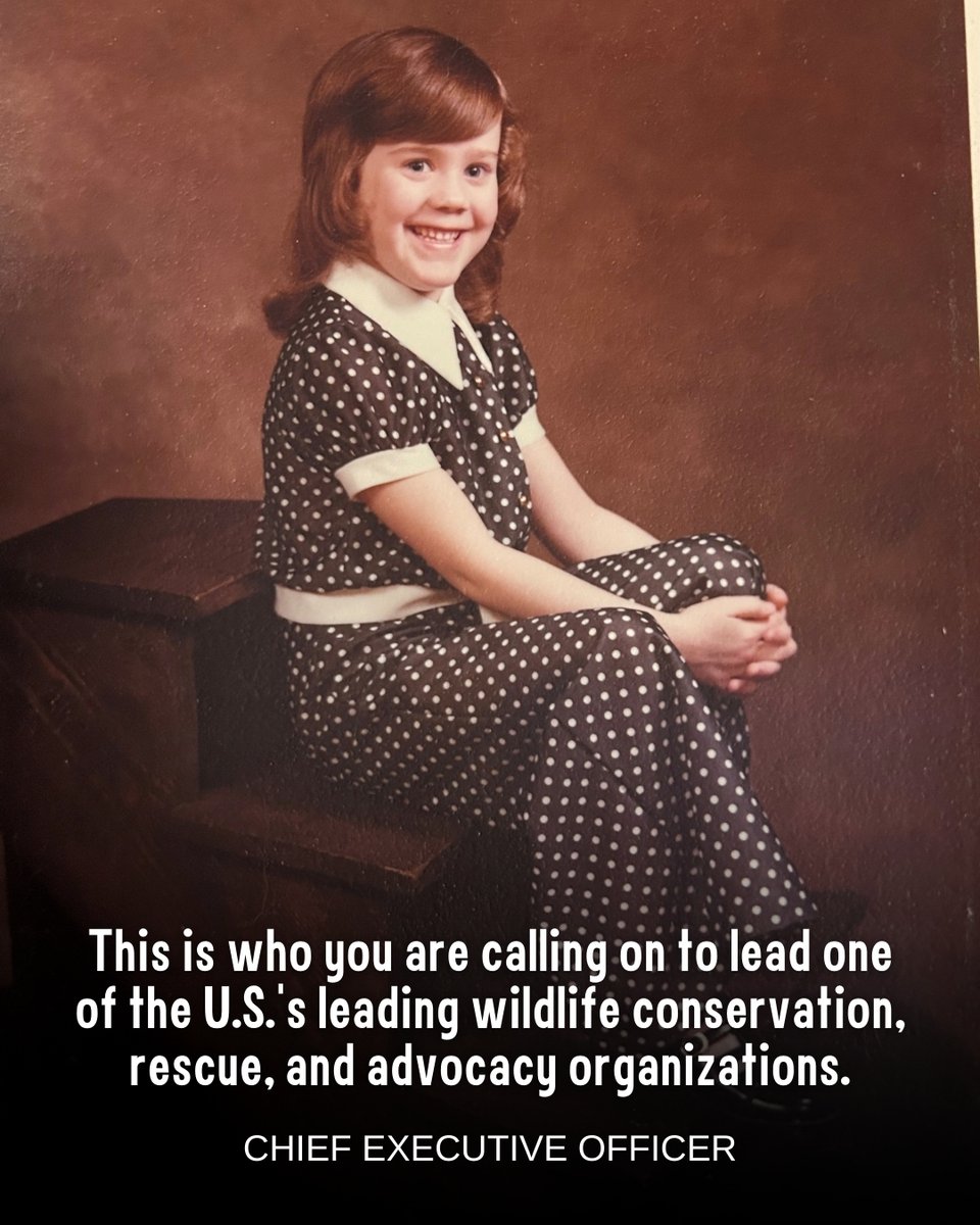 Born Free USA tweet media