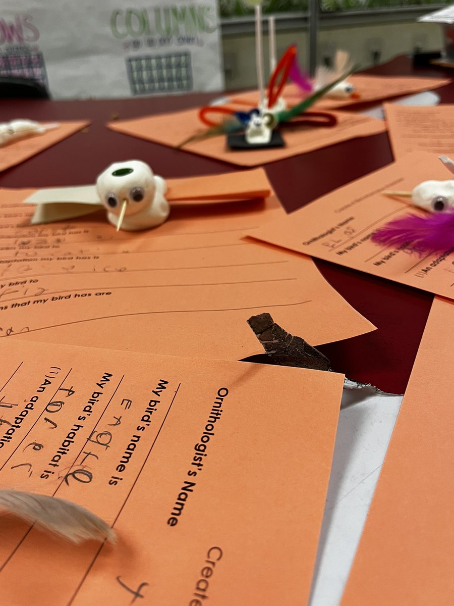 MissYingling's tweet photo. Students put all their knowledge they learned about adaptations and created their own bird with unique adaptations. https://t.co/kMULzsO9ba