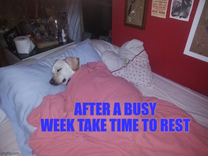 Following a busy week, remember to take a moment to rest and rejuvenate if you can. You might want to catch up on sleep, get lost in a book, take a leisurely walk, or simply enjoy the moment. My plan is to craft, read, &amp; take it easy. What about you?
#autism #wellbeing #JoFarmer