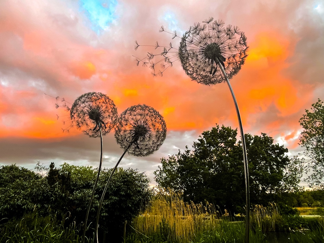 All Things Norfolk tweet media