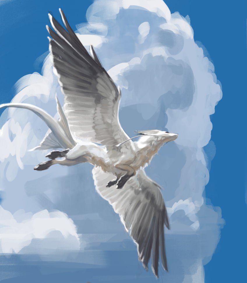 Asp |Comms open| tweet media