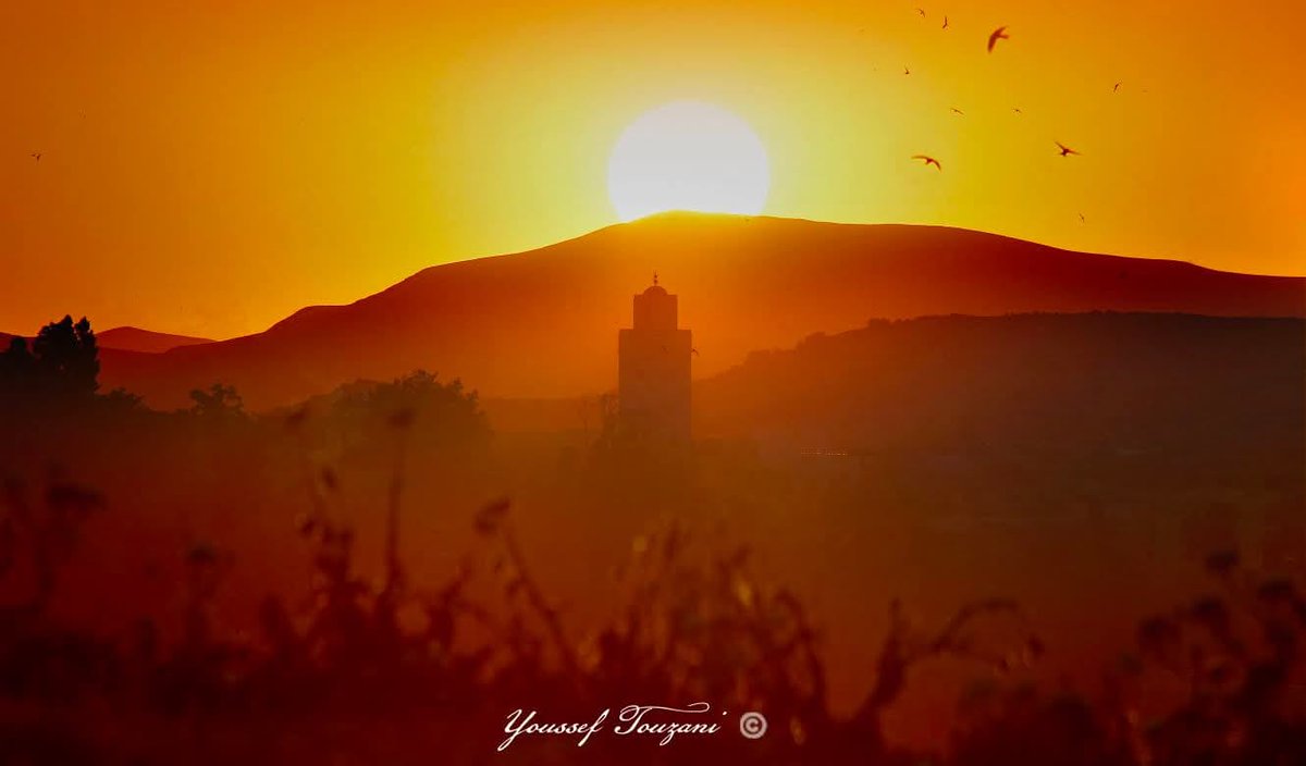 L'Oriental Marocain ۞ tweet media