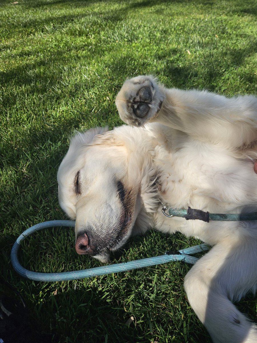 Vesuvius tweet media